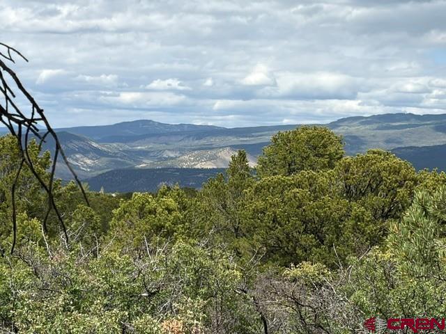 Lot 4 Tower Road North Ridgway CO 81432