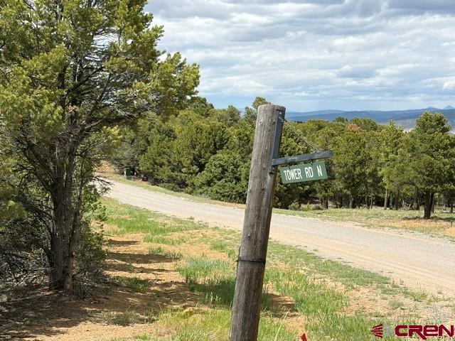 Lot 4 Tower Road North Ridgway CO 81432