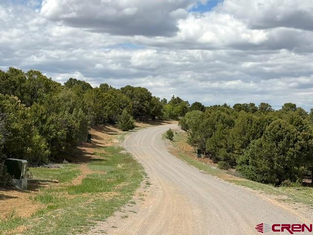 Lot 4 Tower Road North Ridgway CO 81432