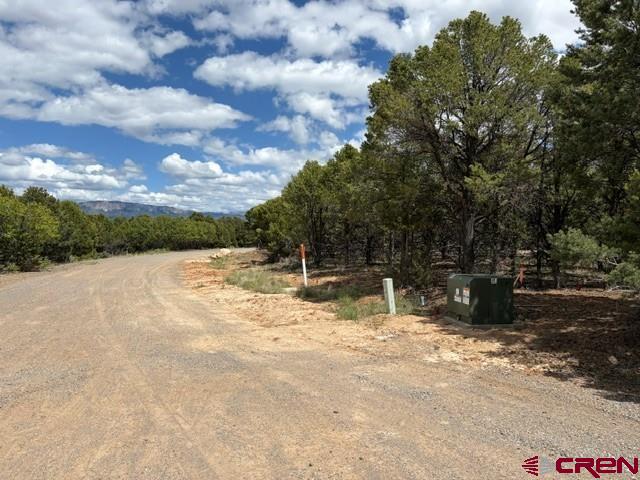Lot 4 Tower Road North Ridgway CO 81432