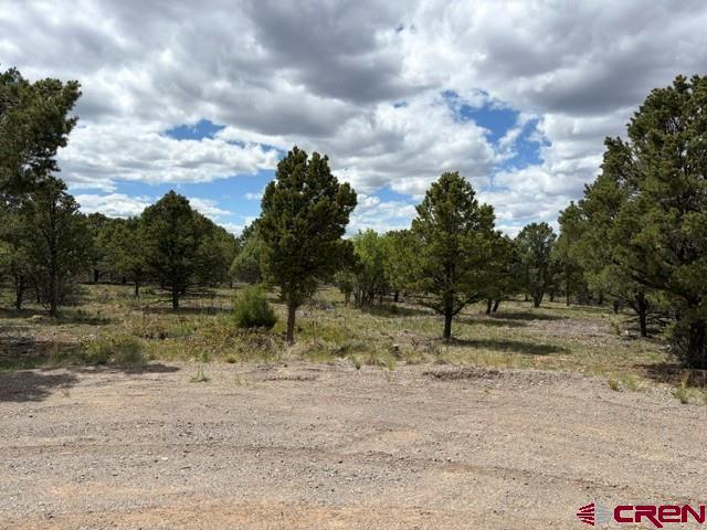 Lot 4 Tower Road North Ridgway CO 81432