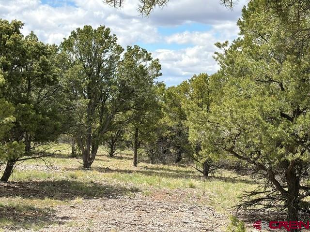 Lot 4 Tower Road North Ridgway CO 81432