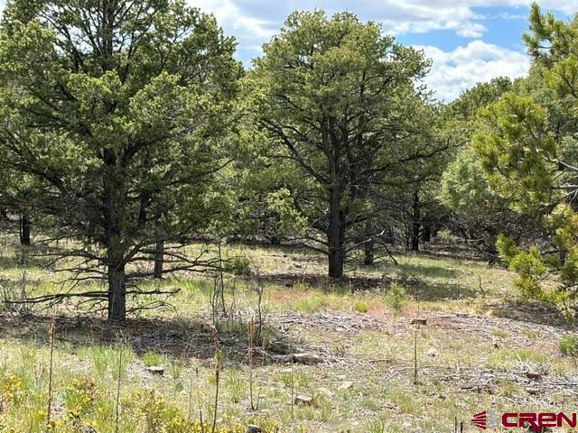 Lot 4 Tower Road North Ridgway CO 81432
