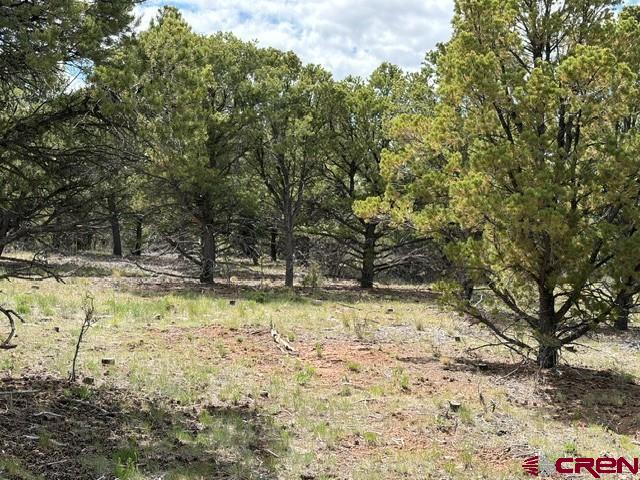 Lot 4 Tower Road North Ridgway CO 81432