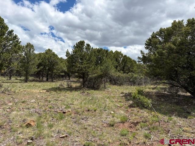 Lot 4 Tower Road North Ridgway CO 81432