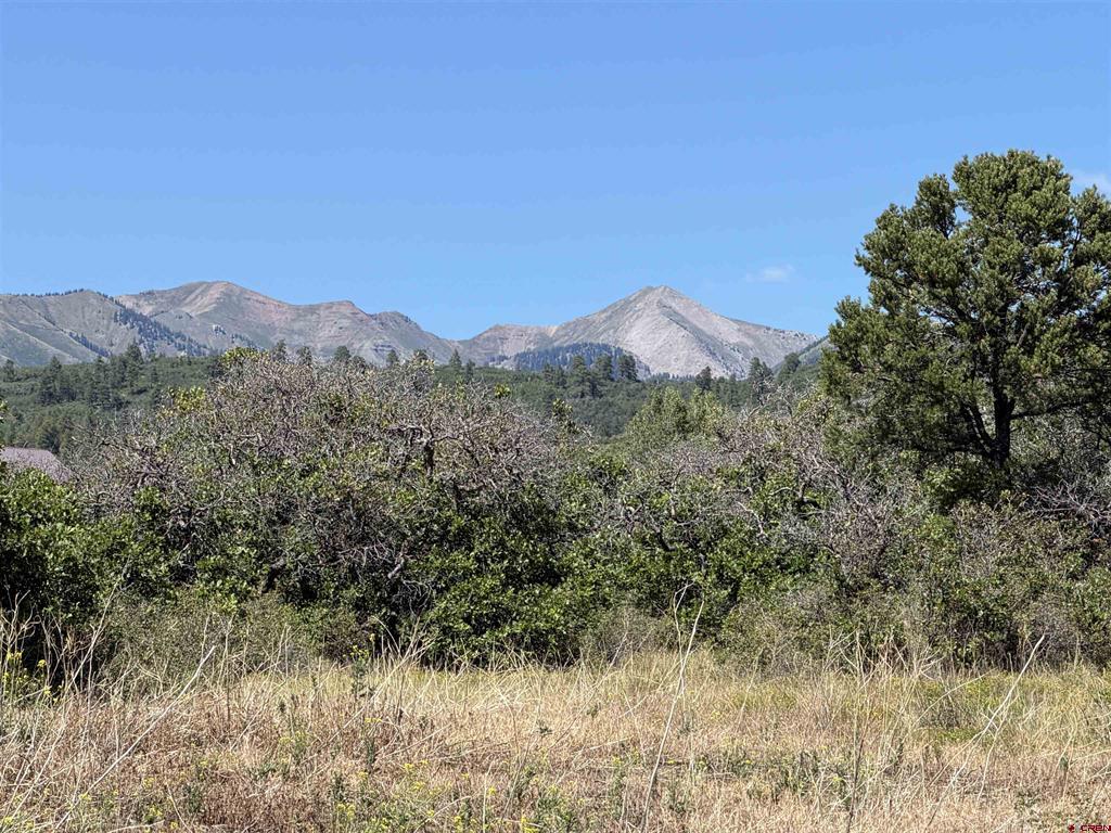 Tbd Roberts Ridge Road Hesperus CO 81326
