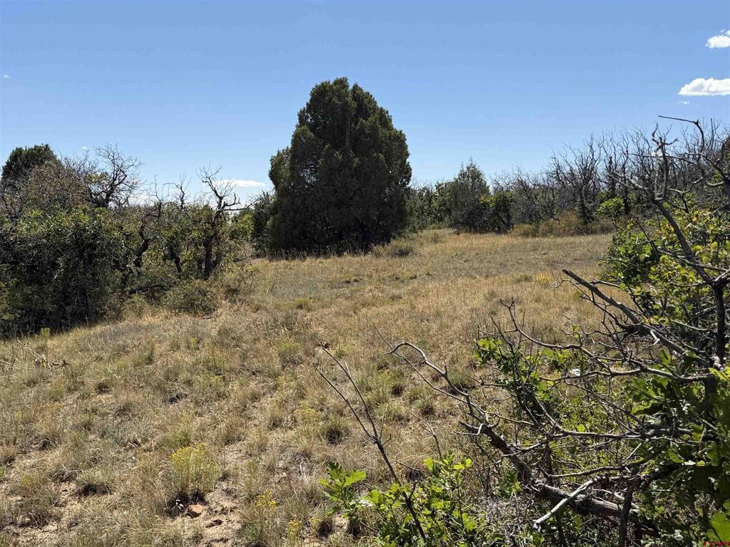 Tbd Roberts Ridge Road Hesperus CO 81326