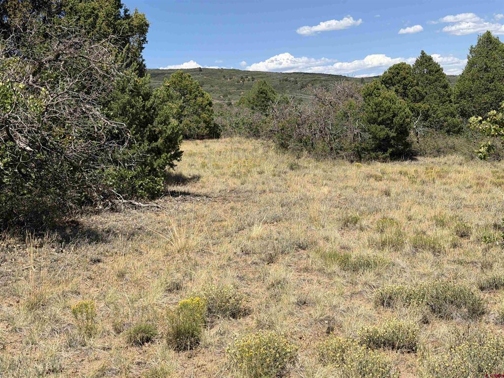 Tbd Roberts Ridge Road Hesperus CO 81326