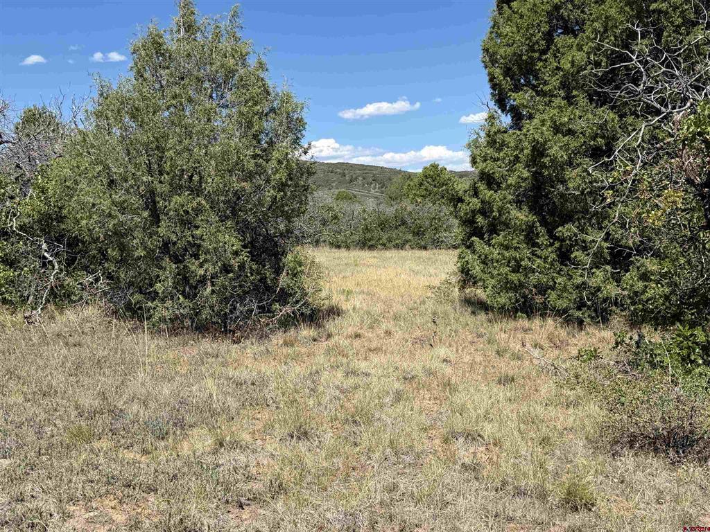 Tbd Roberts Ridge Road Hesperus CO 81326