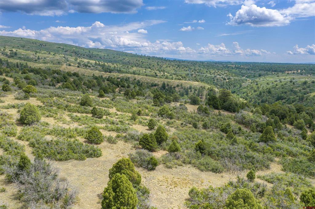Tbd Roberts Ridge Road Hesperus CO 81326