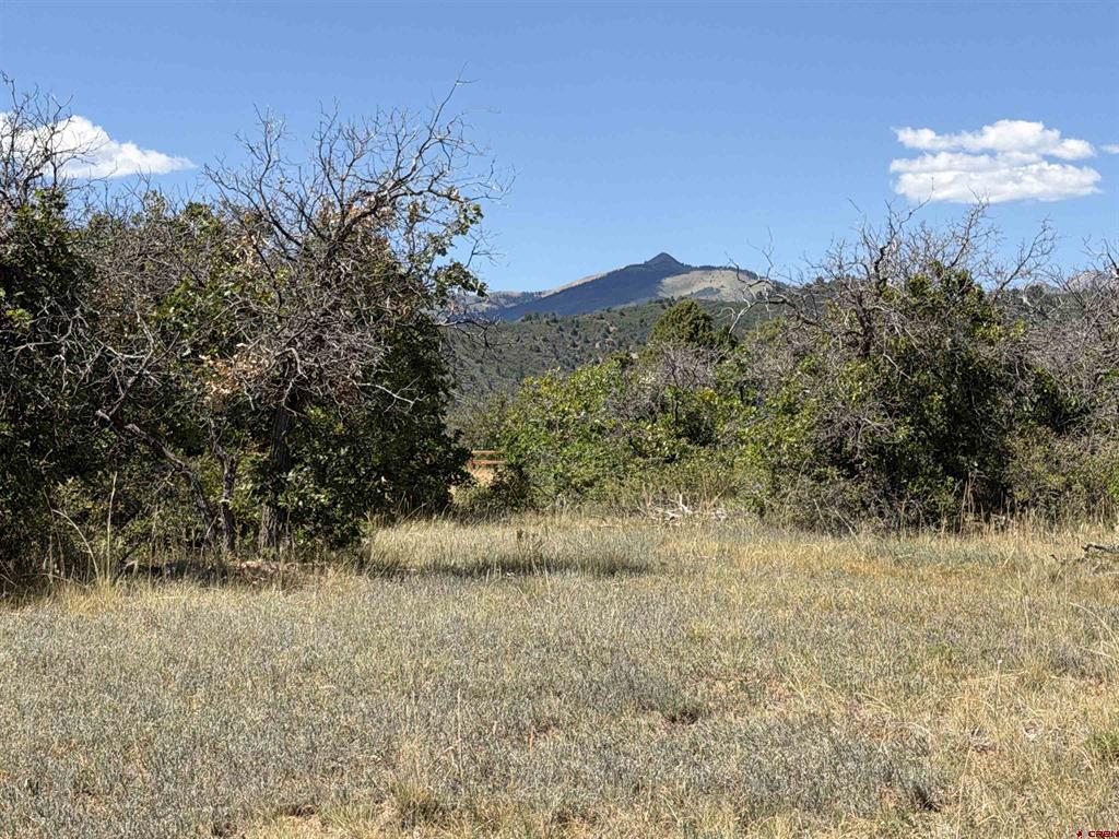 Tbd Roberts Ridge Road Hesperus CO 81326