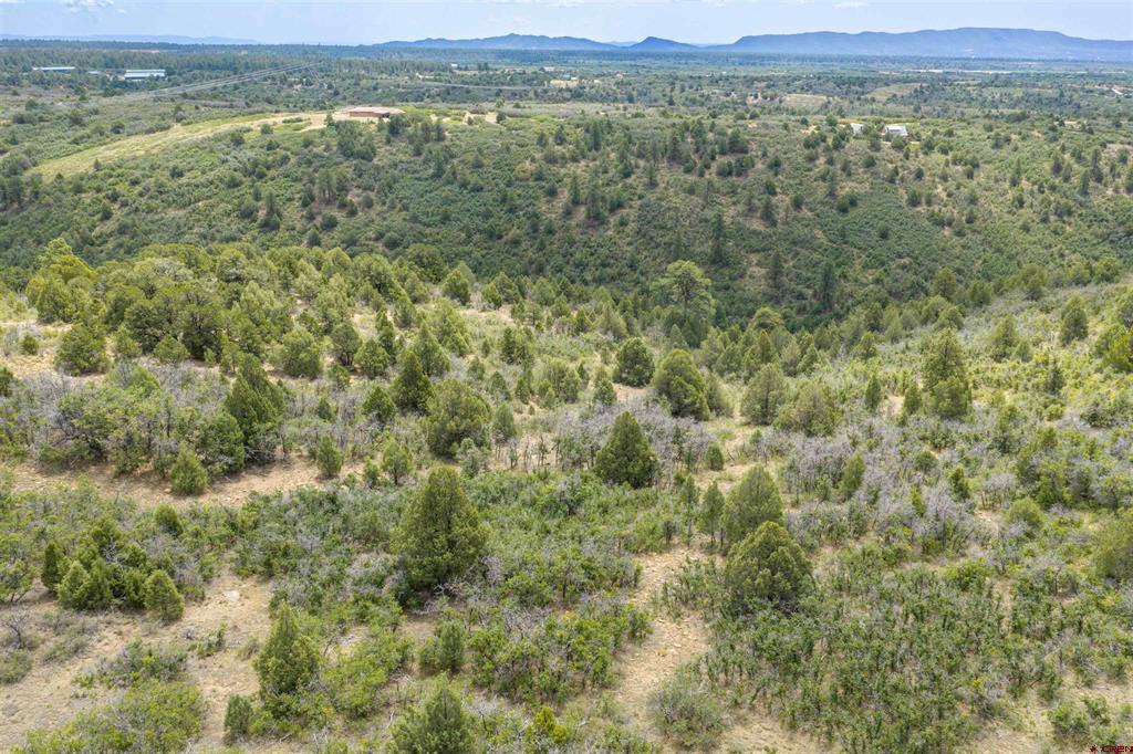 Tbd Roberts Ridge Road Hesperus CO 81326