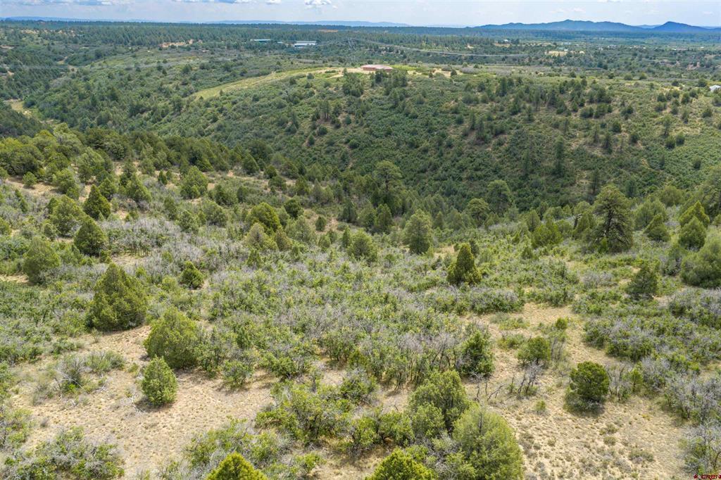 Tbd Roberts Ridge Road Hesperus CO 81326