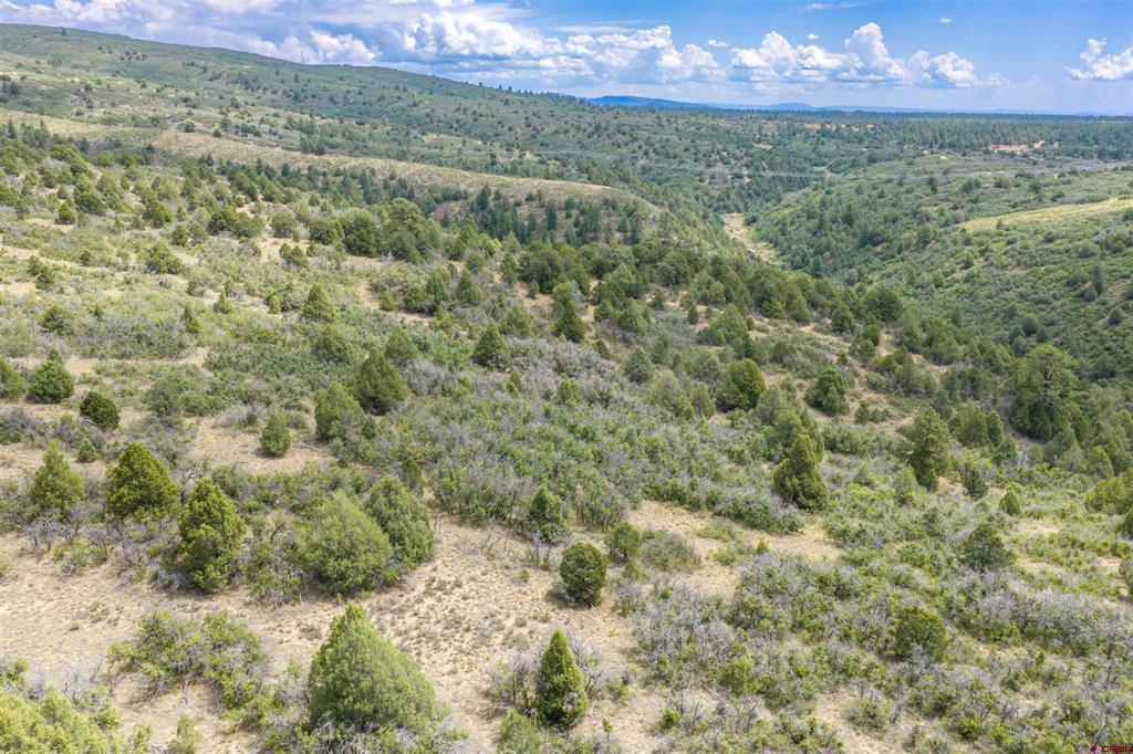 Tbd Roberts Ridge Road Hesperus CO 81326