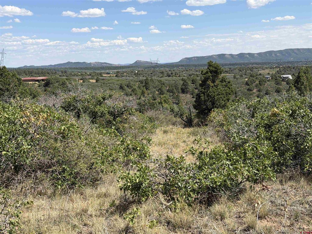 Tbd Roberts Ridge Road Hesperus CO 81326