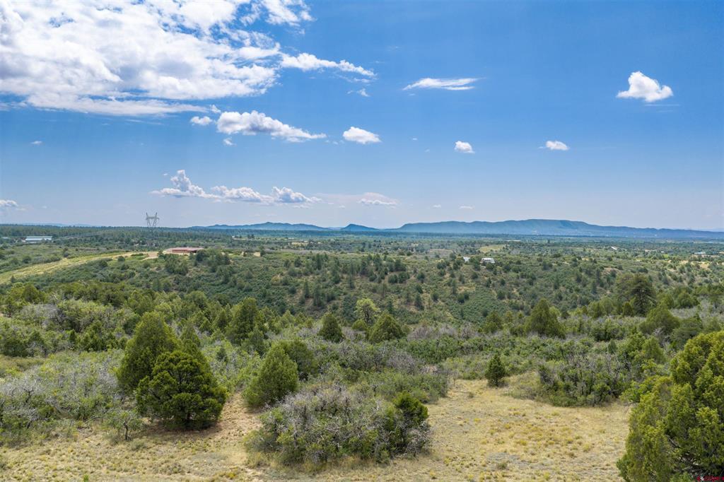 Tbd Roberts Ridge Road Hesperus CO 81326