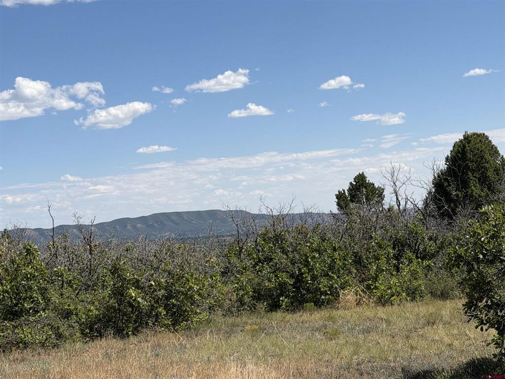 Tbd Roberts Ridge Road Hesperus CO 81326