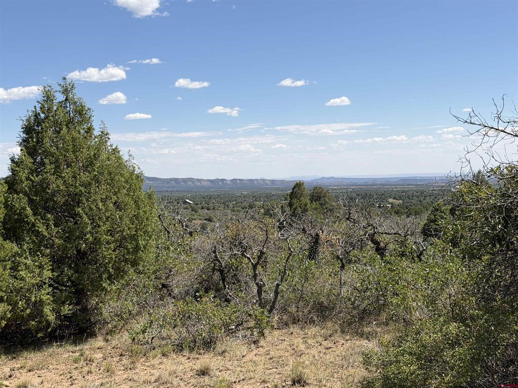 Tbd Roberts Ridge Road Hesperus CO 81326