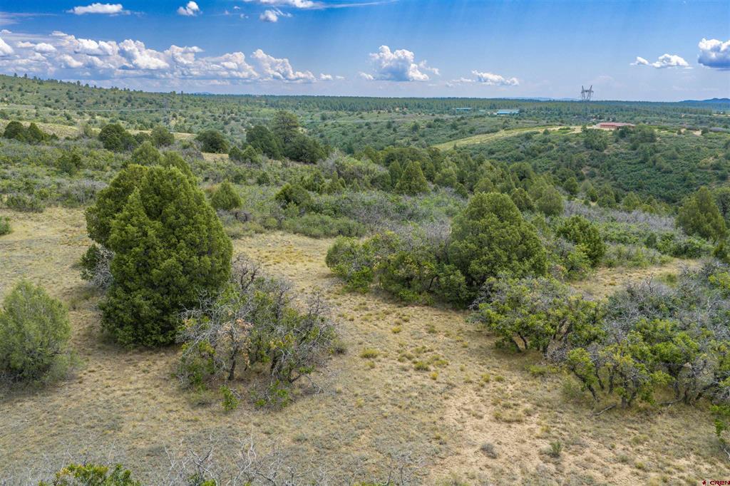 Tbd Roberts Ridge Road Hesperus CO 81326
