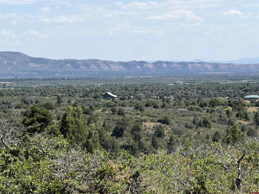 Tbd Roberts Ridge Road Hesperus CO 81326
