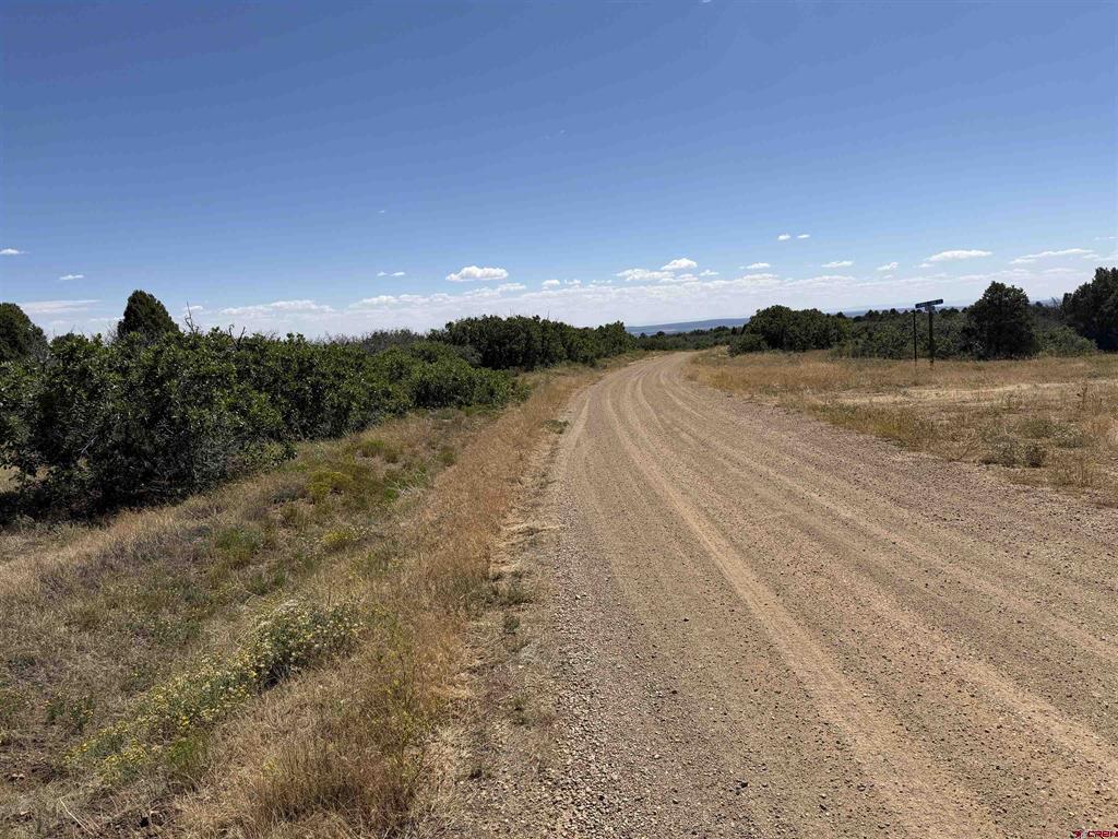 Tbd Roberts Ridge Road Hesperus CO 81326