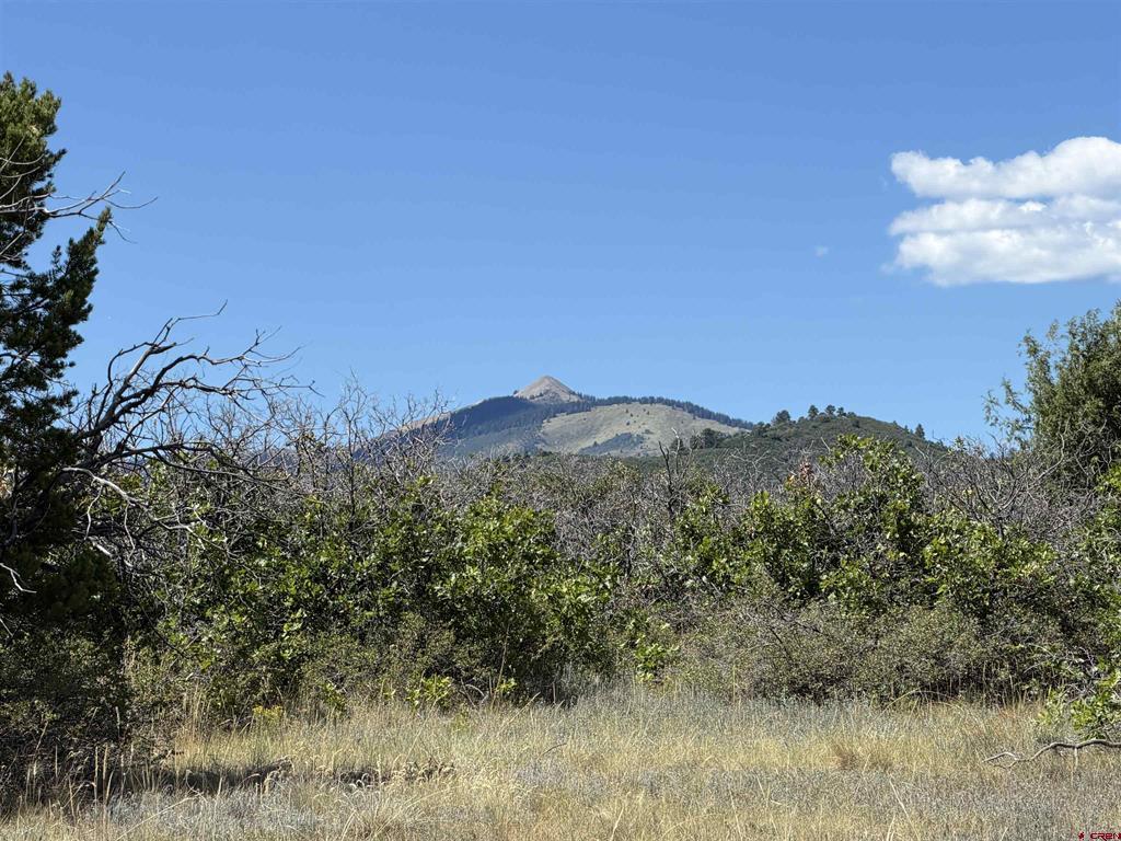 Tbd Roberts Ridge Road Hesperus CO 81326