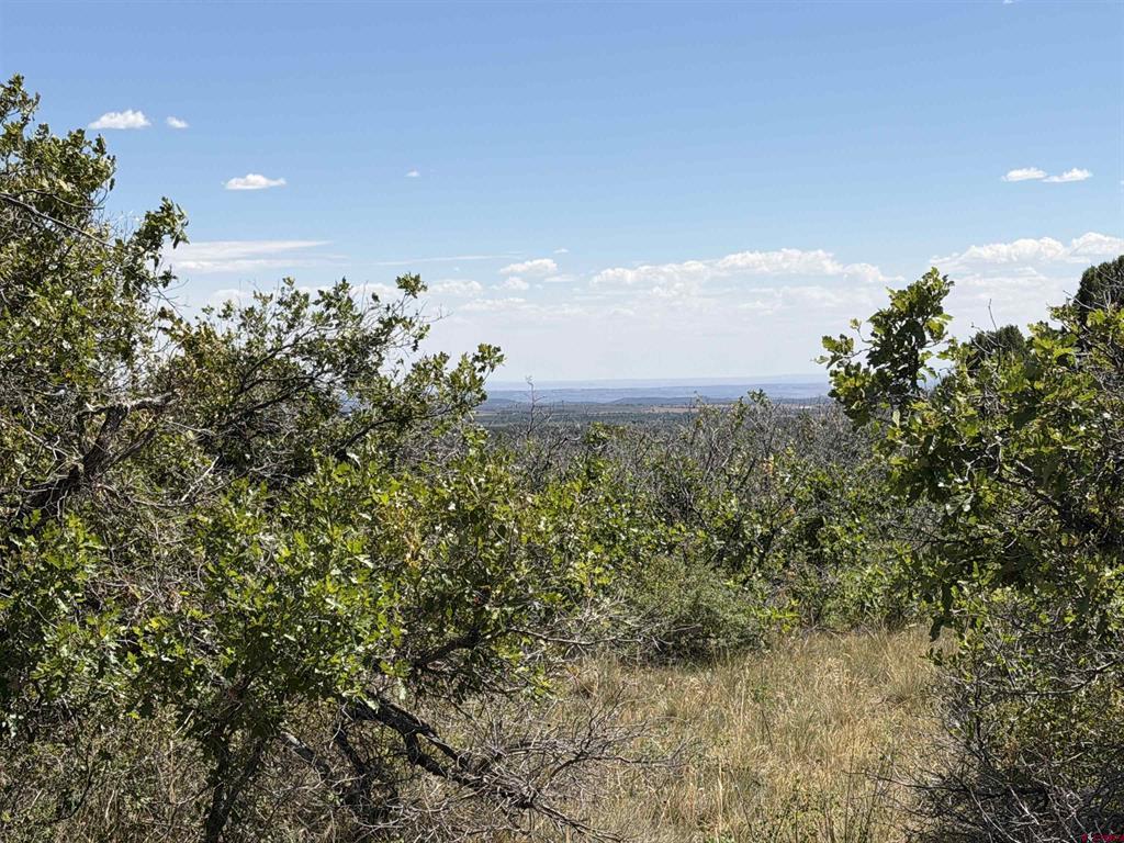Tbd Roberts Ridge Road Hesperus CO 81326