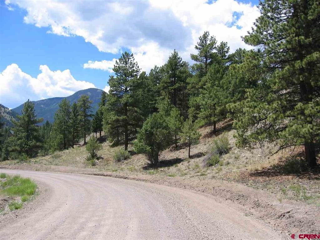 1900 San Juan Springs Drive Lake City CO 81235