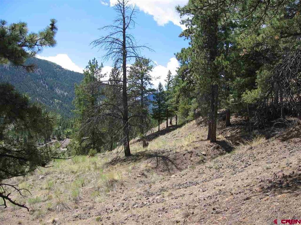 1900 San Juan Springs Drive Lake City CO 81235