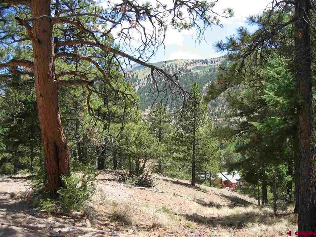 1900 San Juan Springs Drive Lake City CO 81235