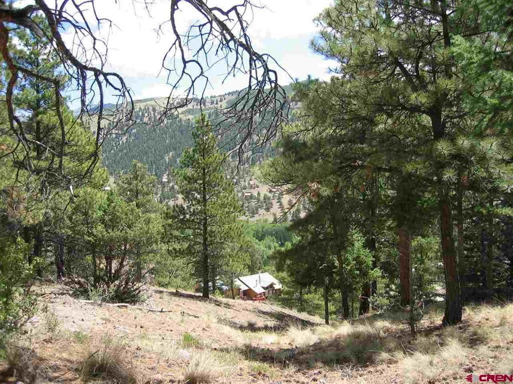 1900 San Juan Springs Drive Lake City CO 81235