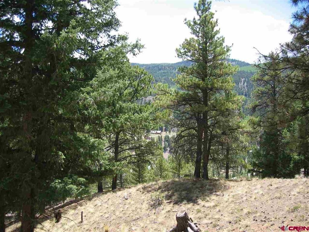 1900 San Juan Springs Drive Lake City CO 81235