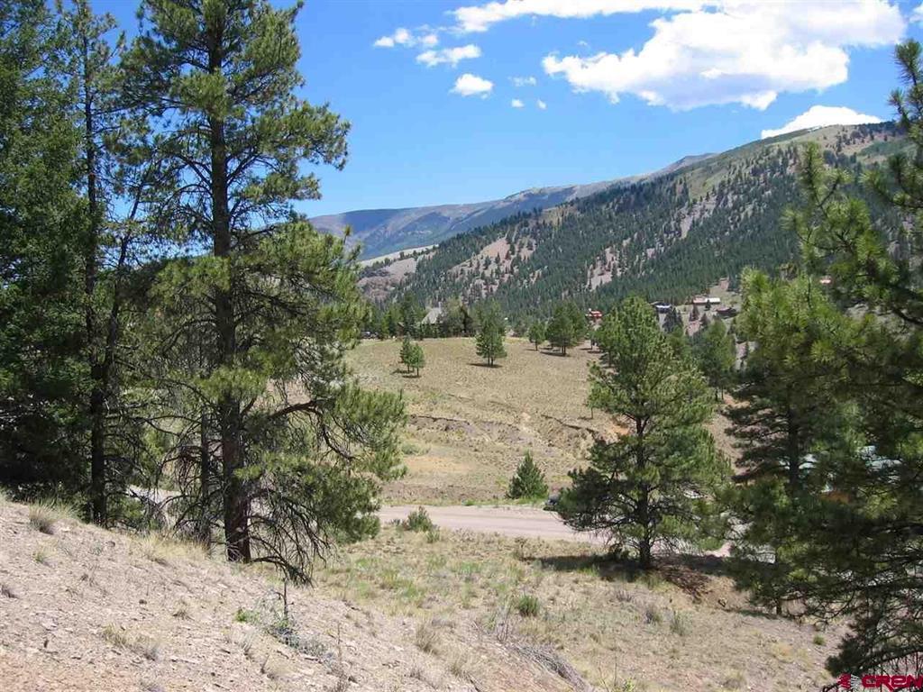 1900 San Juan Springs Drive Lake City CO 81235