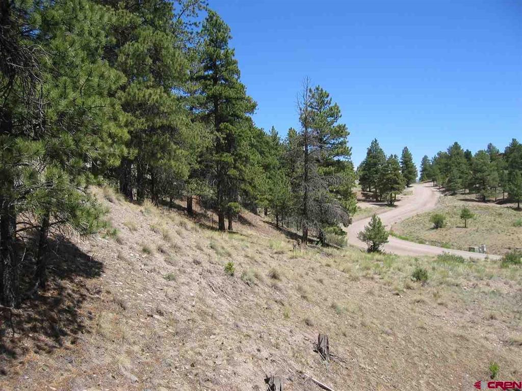 1900 San Juan Springs Drive Lake City CO 81235