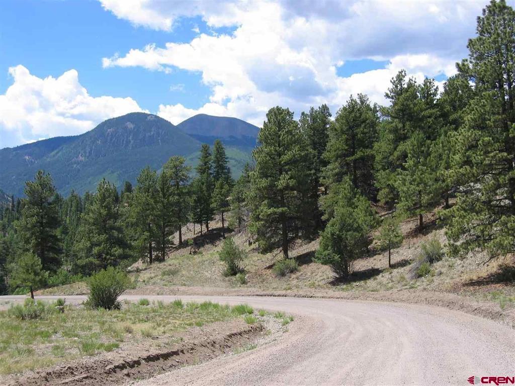 1900 San Juan Springs Drive Lake City CO 81235