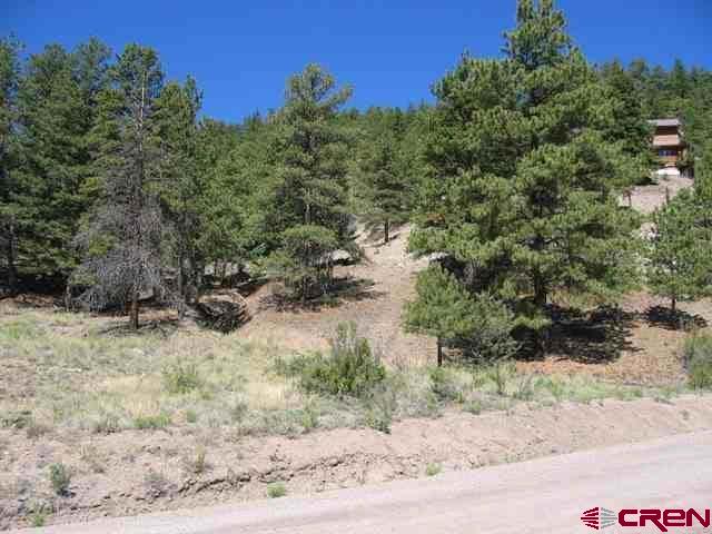 1900 San Juan Springs Drive Lake City CO 81235