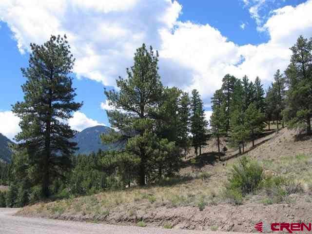 1900 San Juan Springs Drive Lake City CO 81235