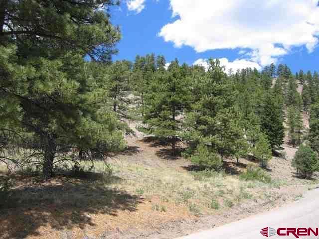 1900 San Juan Springs Drive Lake City CO 81235