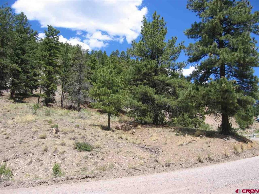 1900 San Juan Springs Drive Lake City CO 81235