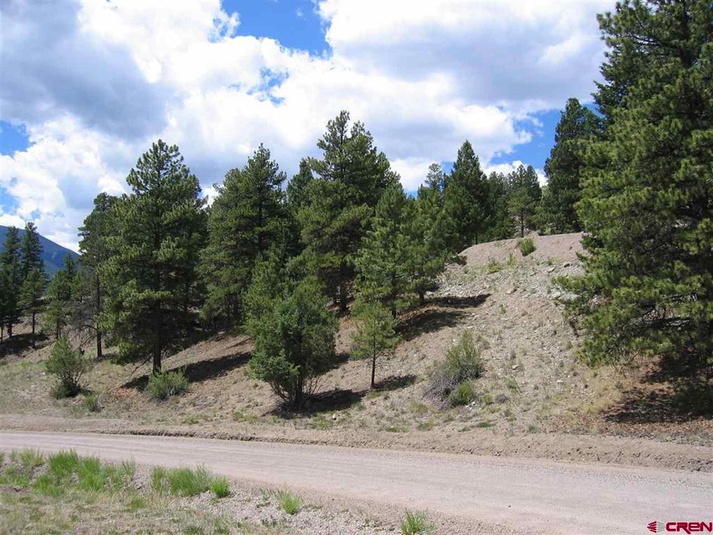1900 San Juan Springs Drive Lake City CO 81235
