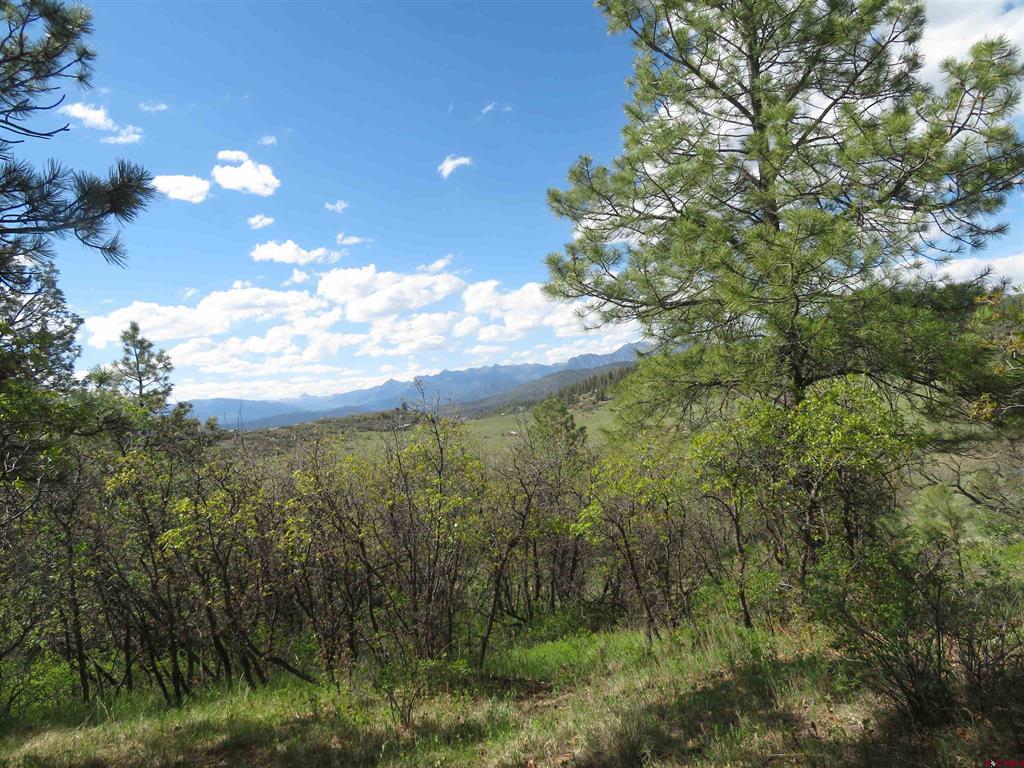 1000 Perry Drive Pagosa Springs CO 81147