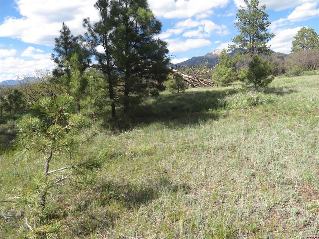 1000 Perry Drive Pagosa Springs CO 81147