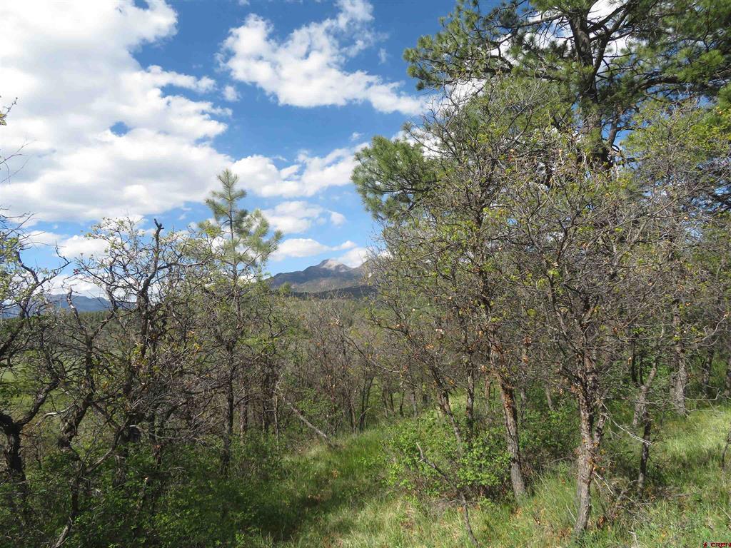 1000 Perry Drive Pagosa Springs CO 81147