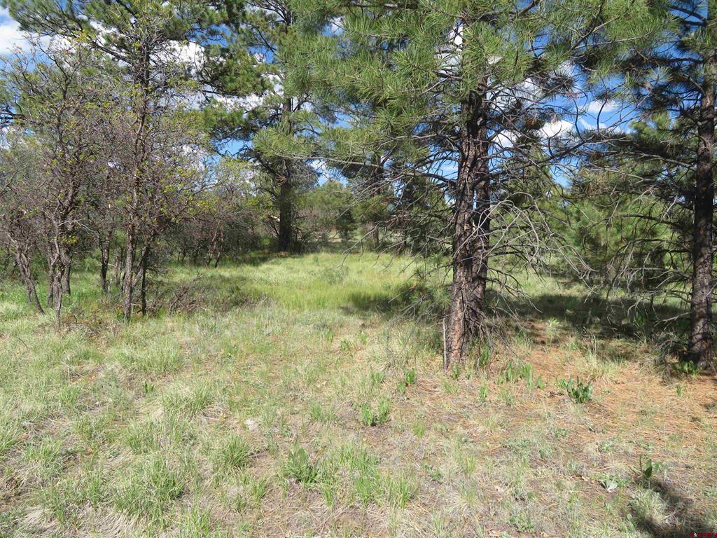 1000 Perry Drive Pagosa Springs CO 81147