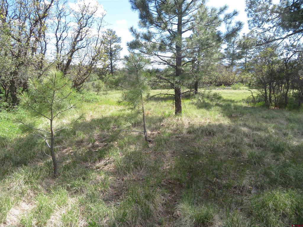 1000 Perry Drive Pagosa Springs CO 81147