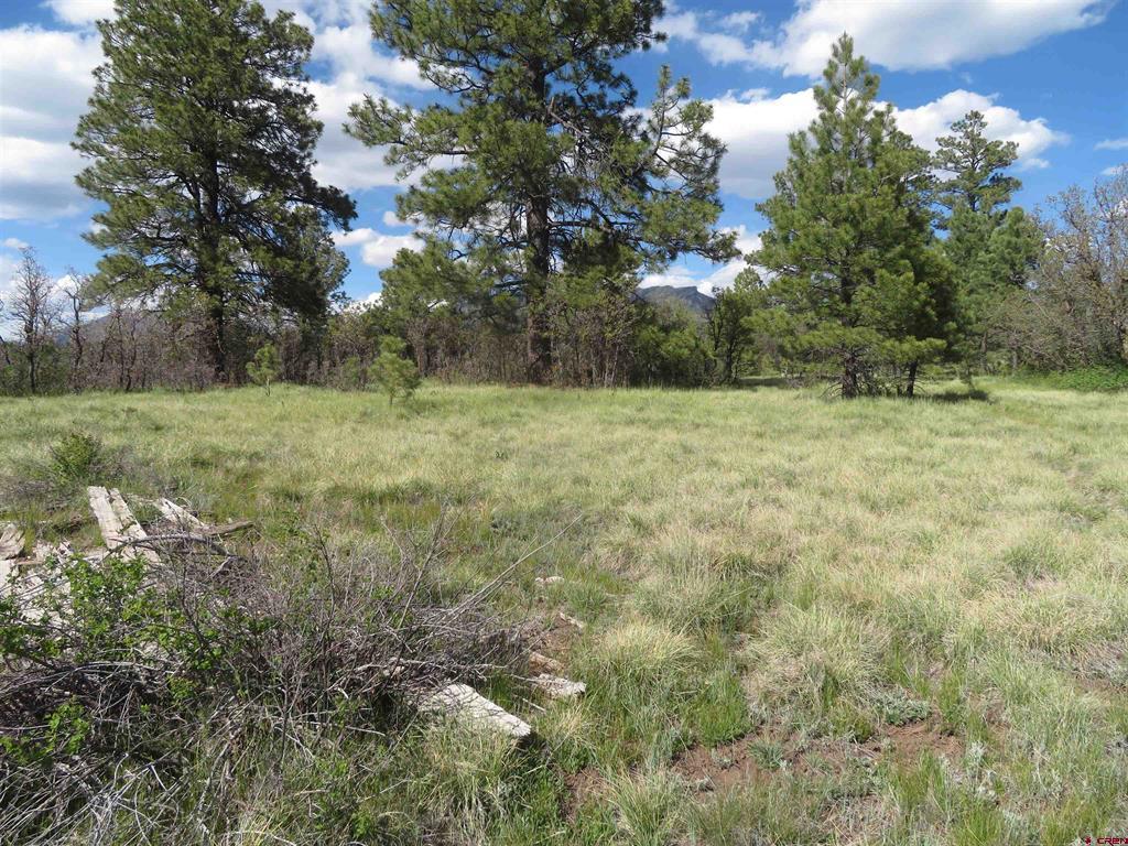 1000 Perry Drive Pagosa Springs CO 81147