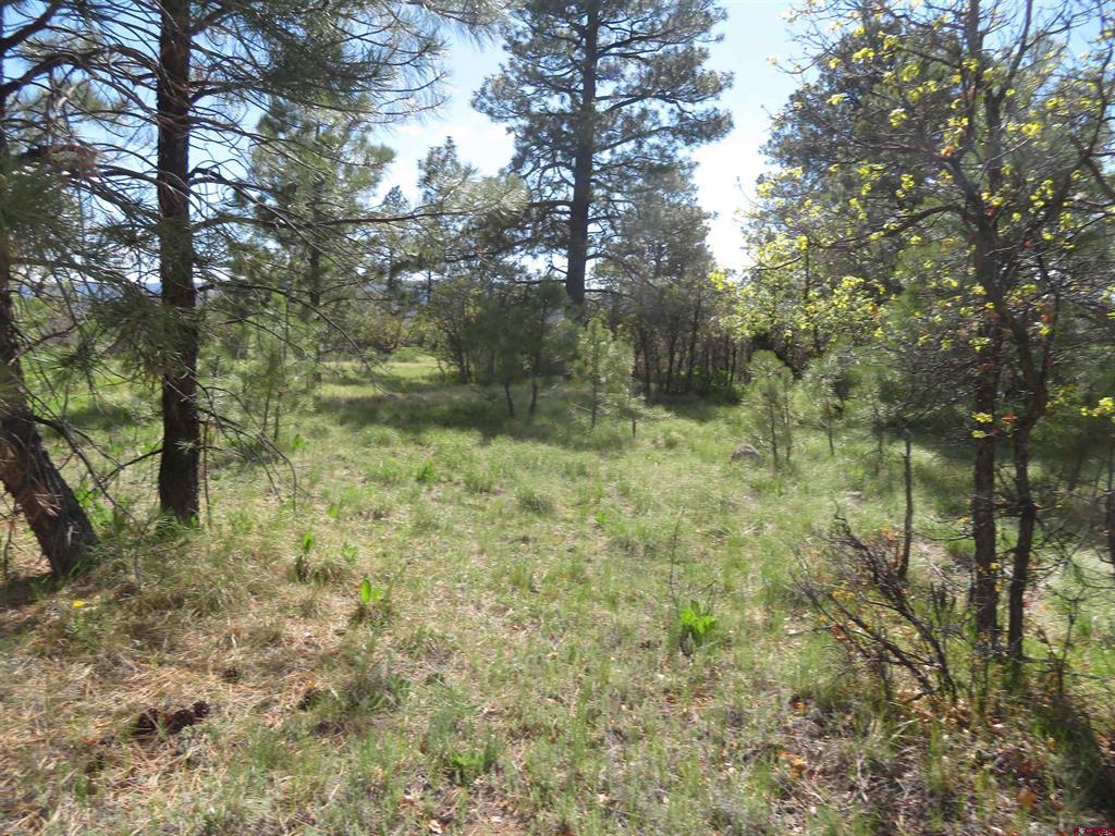 1000 Perry Drive Pagosa Springs CO 81147