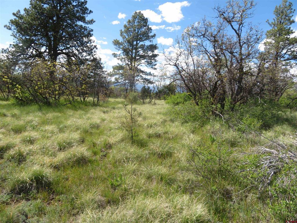 1000 Perry Drive Pagosa Springs CO 81147