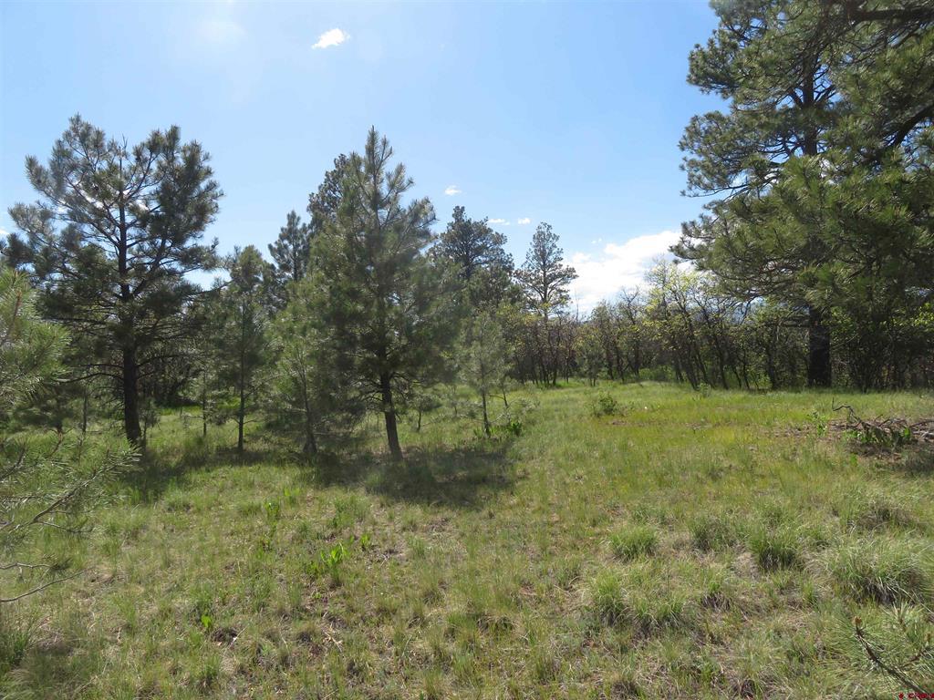 1000 Perry Drive Pagosa Springs CO 81147
