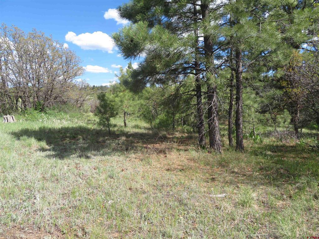 1000 Perry Drive Pagosa Springs CO 81147